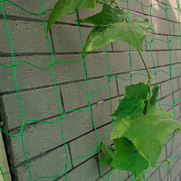 1.8 x 3 m Klatreplanter Net Espalier Met Mat til Høst Tomater Agurker BÆLGPLANTER VINPLANTER KRYBENDE PLANTER
