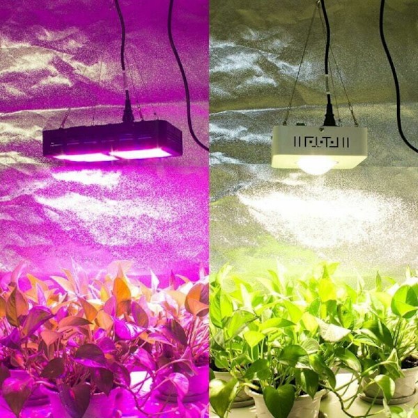 1,5 mm x 2 m 2 m rum med rustfri stålkabler kabel til gardiner justerbar lysekrone reb til bordramme, tråd Etendoir udendørs linned, fastgørelse