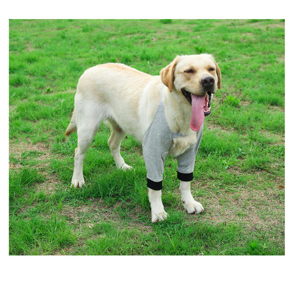 Armbåge Skyddande Pad Mjuk Andningsbar Smärtlindring Axelstöd Armbåge Pads Hund Pads (M)
