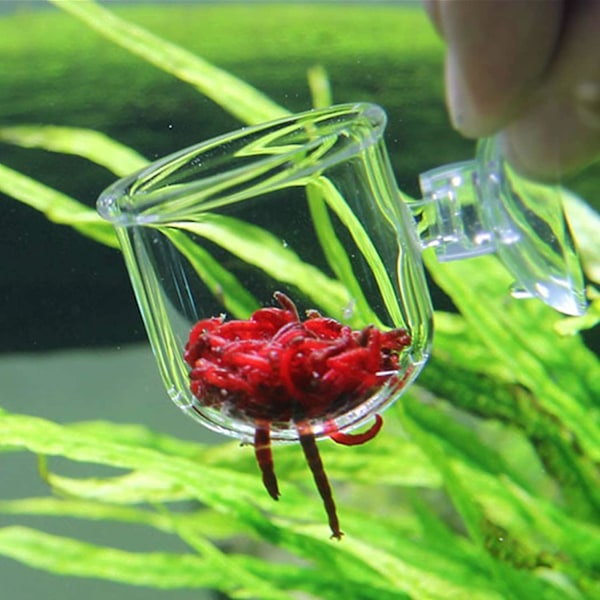 2Pcs Aquarium Glass Feeding Cone Cup Plant Cup Brine Shrimp Live Red Worm Fish Feeder for Aquarium Suction Cups