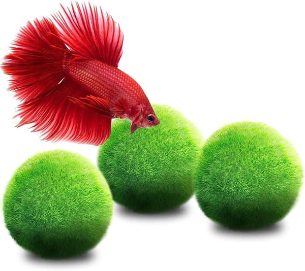 Medelstora mossbollar, akvariedekor för akvariehusdjur, 3 bollar per förpackning