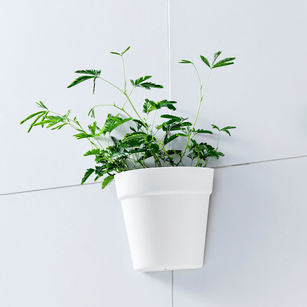 Set med 2 väggkrukor för upphängning inomhus, utomhus, trädgård, balkong, grå