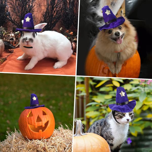 Kjæledyr Jul Halloween Kostyme Hodeplagg Katt Trollmann Hodeplagg Valp Heks Hodeplagg Kostyme Trollmann Valp Hodeplagg
