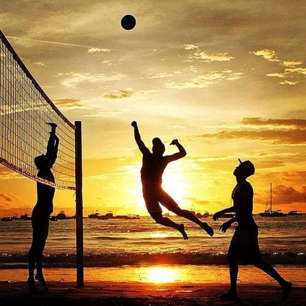 9,5m x 1m beachvolleyballnet med volleyballtaske volleyballløb