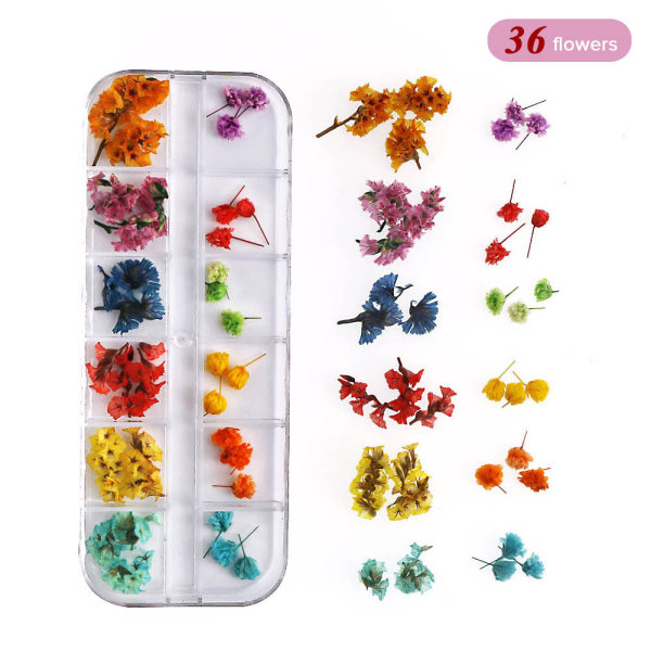 36 tørrede blomster neglekunst (krystalgræs + Gypsophila), 3D tørrede blomster neglemærkat farve Naturlig ægte blomster neglemærkat