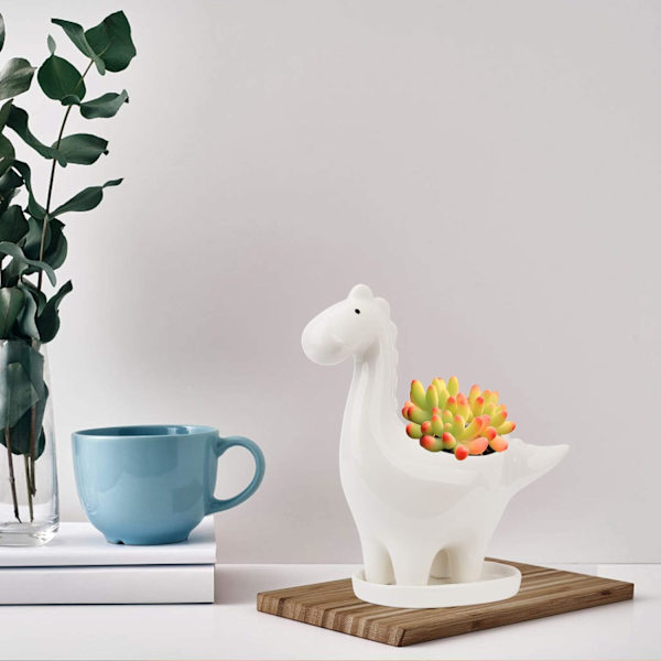 Keramisk suckulentkruka med fat, dinosaurieformad kaktusblomkruka, mini inomhusväxtkruka presentdekoration för hemmakontor bonsaiplanteringsbehållare-