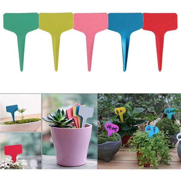Plante Etiket Have Etiket T Form Orkide Blomst Etiket Generation Rød T Form