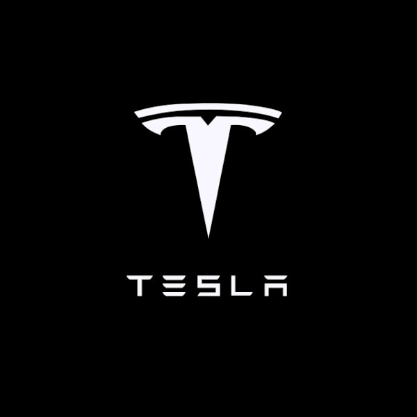Et par med ultraklare projeksjonslys (logo+engelsk), egnet for Tesla Model S/3/X/Y, en pakke med 2 Tesla-logo LED-dørbelysningsvelkomstlys