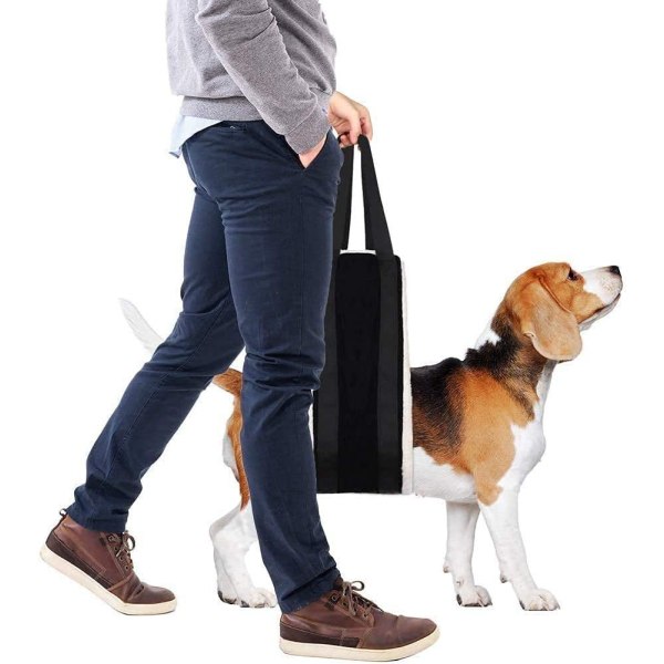 Snorhund - stor hund bagbensstøtte - handicappet hundegang - med hundeassistent