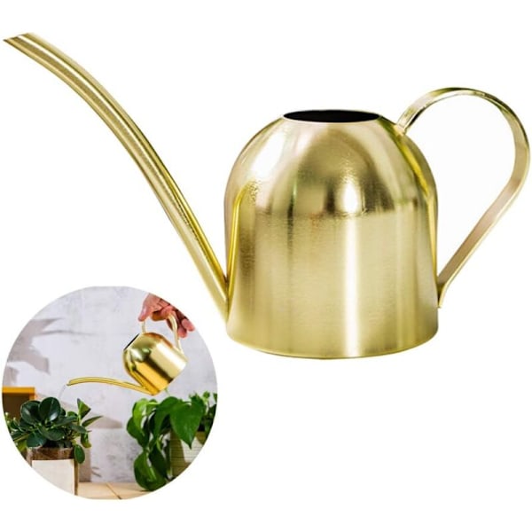 Vandkande i rustfrit stål, lille vandkande med lang tud til hus, indendørs, udendørs, have, sukkulenter, 500 ml (guld)