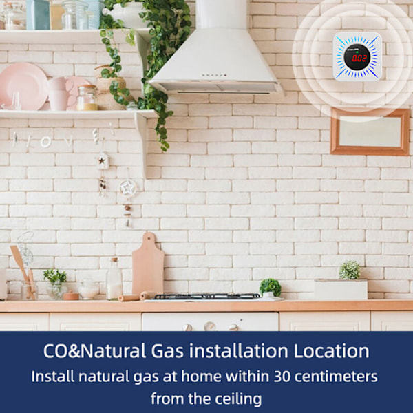 Detektor för bekämpning av gasläckage Tuya WiFi Co Co - kolgasläckagetestare portabel koltestare multifunktionell gas koncentrationstestare