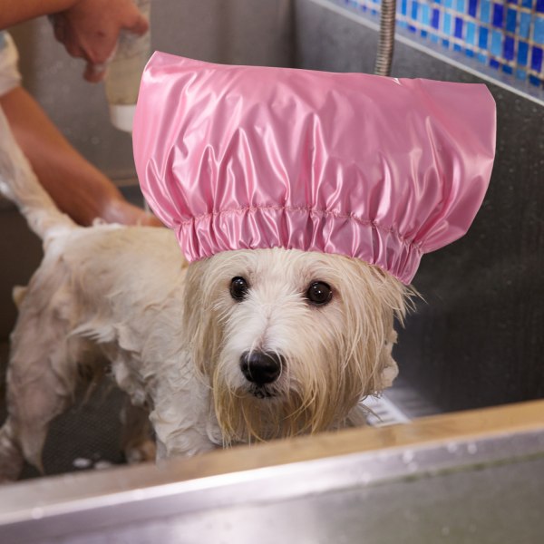 Dyrebadehætte Kat Vandtæt badehætte Genanvendelig Hundebruser Ca