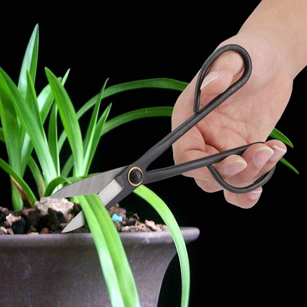 Bonsai saks, 205 mm lang håndtak saks, rustfritt stål for trimming av knoppblader, bonsai kutter verktøy utstyr sett