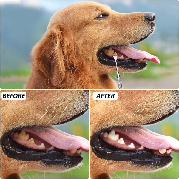 Dog Dental Scaler Kit Rustfritt stål Oral Tool Pet Teeth Cleanin