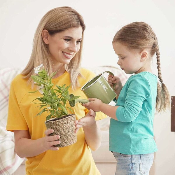 2 stk. plante kurv søgræs kurv håndvævet blomsterkurv strå blomsterpotter blomsterkrukke til indendørs eller udendørs dekoration