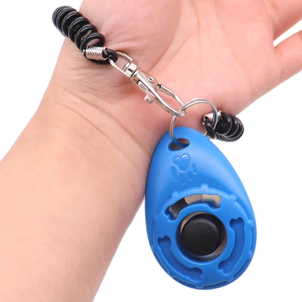 Hunde trænings rangle med armbånd - Hunde trænings rangle (Blå)