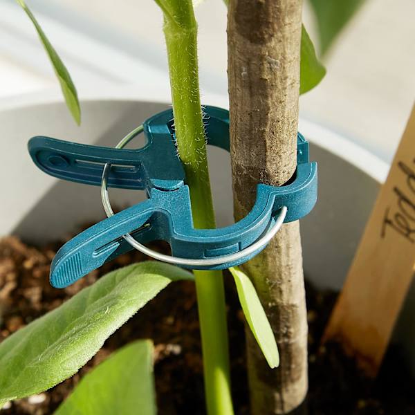 Planteklemmer til Stammer Tomater, Roser, Agurker og Andre Klatreplanter - Meget Nemme at Bruge til Planter (50 Store)