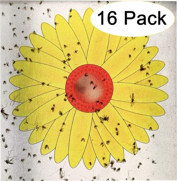 Solros Fönsterdekaler 16-pack
