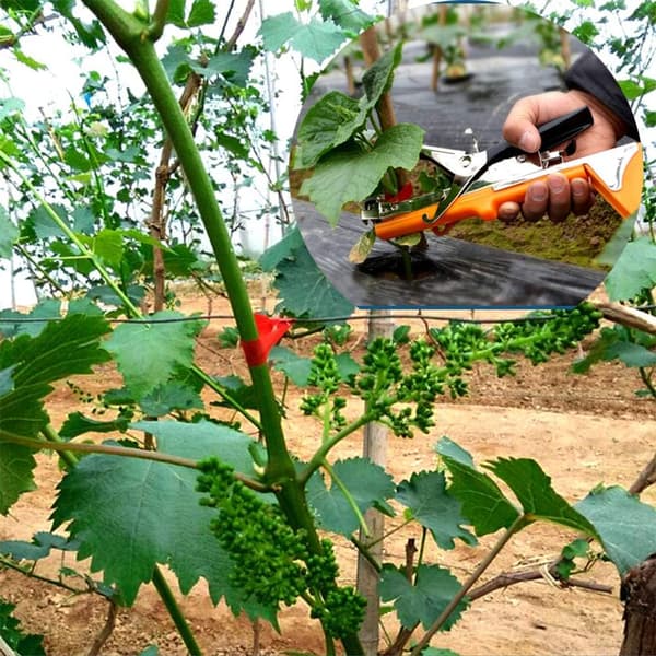 Vines Attaching Tape Tool, Branch Attaching Tape Machine Fruit Tree Vegetable Flower Plants Branch Attaching Tape Tool Gardening Tool - Attaching Ta