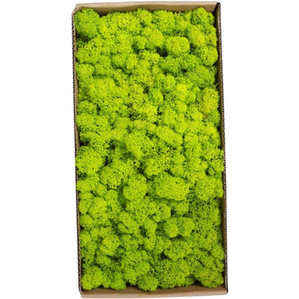mhcb-tx immortelle moss mikro landskab mos dekorativt tilbehør immortelle mos væg, gul-grøn