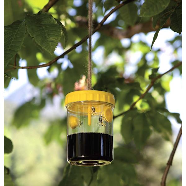 Wasp Fly Trap Duo Hängande Getingsfälla, Genomskinlig, Max 200 ml