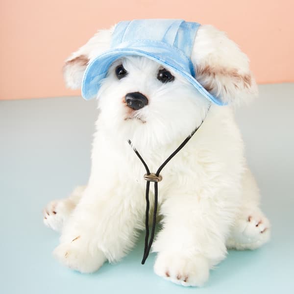 (Blå) Pet Baseball Cap Utendørs Dekor Hund Lerrete Hode Dekor Utendørs Hodeplagg Valp Solhatt Hund Hodeplagg Hodeplagg