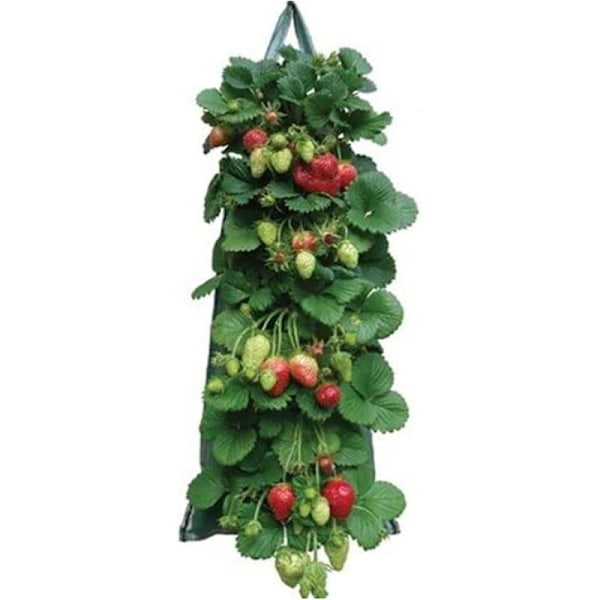 Aromatiske jordbær planteposer, plantepose PE lommeplantage grøntsagsposer til urtejordbær blomster kartoffelkerne tomat løg