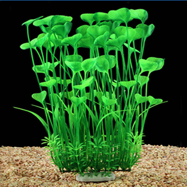 Suuret akvaariokasvit, muoviset akvaariokoristeet – turvallisia kaikille
