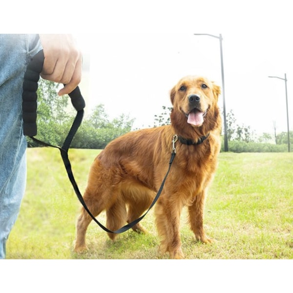 Hundetreningsbånd - 10m langt - Nylon - for store hunder - med komfortabelt polstret håndtak - for sporing av kjæledyr, camping, lek og hagearbeid