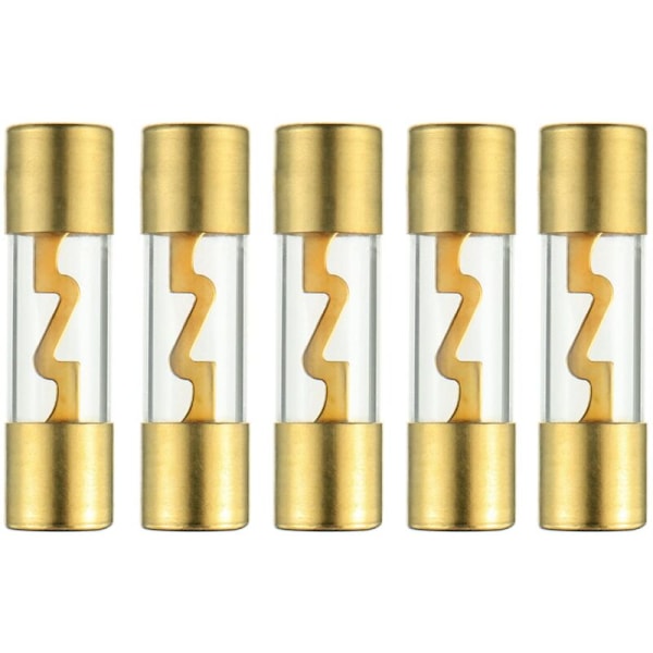 60A Gullbelagt Glass AGU Bilstereo Sikring for Bil/Auto/Marine Audio Stereo Forsterker Strømbeskyttelse (5 stk/pakke)
