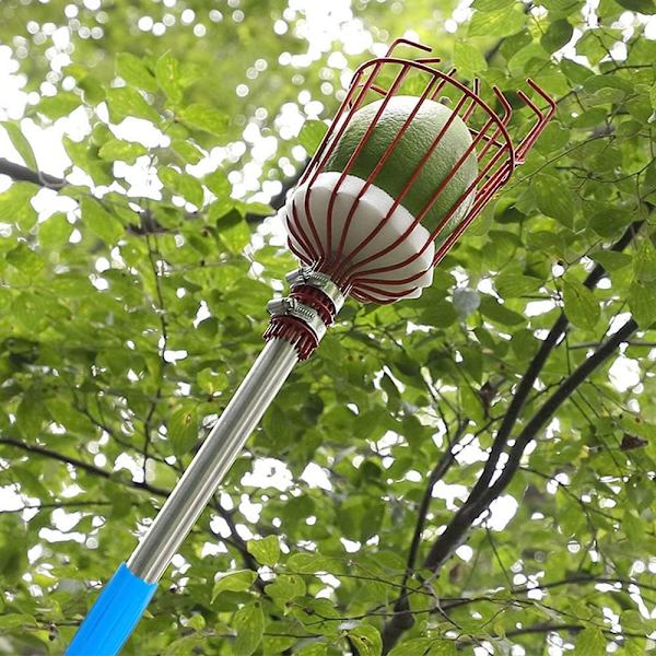 (Kurv, Blå) Frukthøsterverktøy, Avtakbar Frukthøster, med Justerbar Teleskopstang og Rustfritt Stålkorg med Skumputer, for Epler