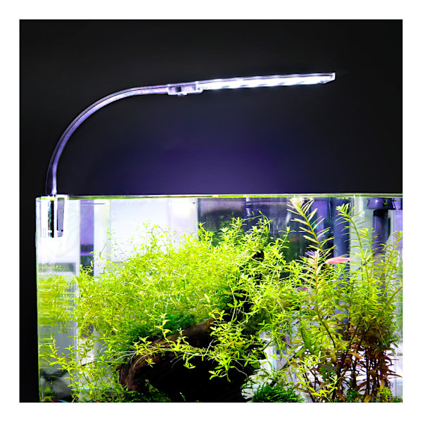 10W LED-akvarielys, sort