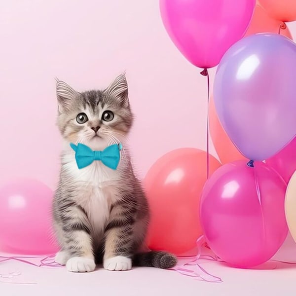 Set med 2 chatt-halsband med bjällra, justerbart sammetshalsband med fjärilsknut för husdjur, kattunge, katt, valp och examen, bröllop, födelse