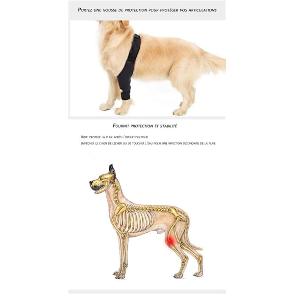 Hunde Hunde Begge Hunde Hunde Bagbensstøtte Til Hunde slik sikkert slik hundeseler til ben af ben