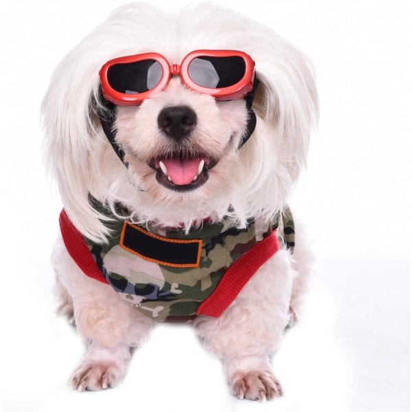 Outdoor Hunde Kat Solbriller Anti-UV Vandtæt Vindtæt Anti-Fog
