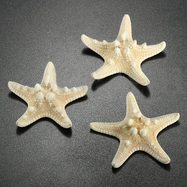 12 X Knutade sjöstjärnor 5-7cm sjöstjärna strandbröllop display hantverksdekoration