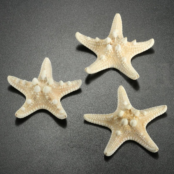 12 X Knutete Sjøstjerner 5-7cm Sjøstjerne Strand Bryllup Display Håndverk Dekorasjon