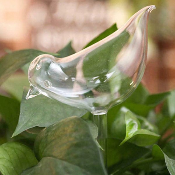 6 stk PVC vannkuler med fugleformede selvvannende pigger for innendørs og utendørs planter