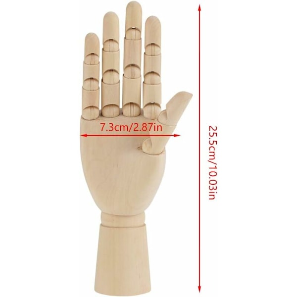 Trähandmodell handskulptur trädocka kvinnor kvinnor ledad ledad modell (10 tum på höger hand)