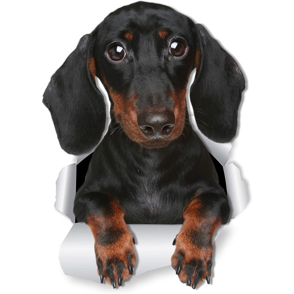 Söt Tax Korv Dog Väggdekaler - 2 Pack - Wiener Dog Toil