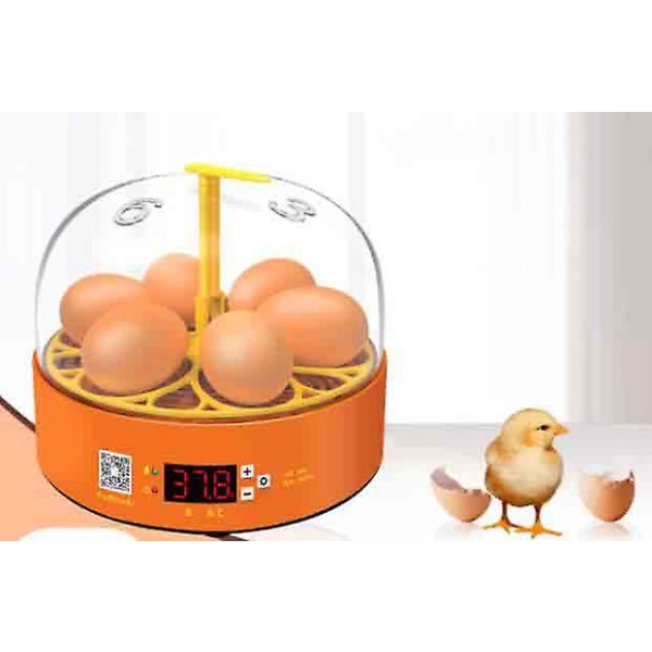 Automatisk inkubator 6 egg inkubatorer, automatisk eggvending EU