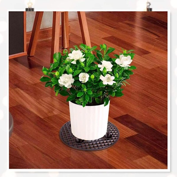 Blomkruka Underlägg - Rund Plast Dräneringsmatta För Inomhus Bonsai Utomhus Terrass Trädgård Kopp med växtskydd, diameter: 20cm, 4 st