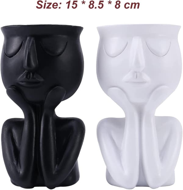 Sett med 2 Resin Plantepotter for Sukkulenter - Abstrakt Ansiktsdesign