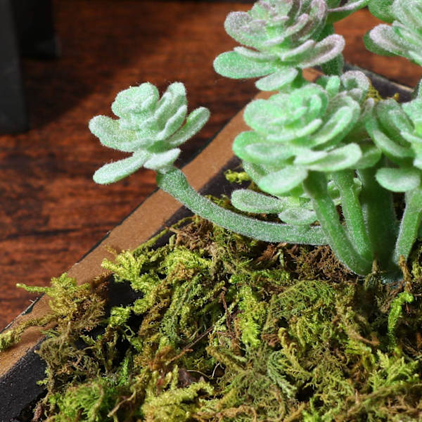3 stk kunstig mose falsk falsk frisk grønn mose dekorativ falsk bulk mose for blomsterplante hage plen håndverk dekorasjon