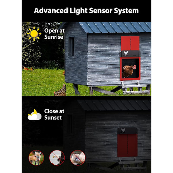 2.0 Ny Automatisk Hønsehusdør, Vanntett Automatisk med Lichtsensor Batteridrevet Induksjons Automatisk Hønsehusdør (Rød)