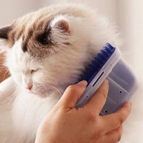Själv-till-till-till-till- katt baguette Backstone massage kam leksak för katt