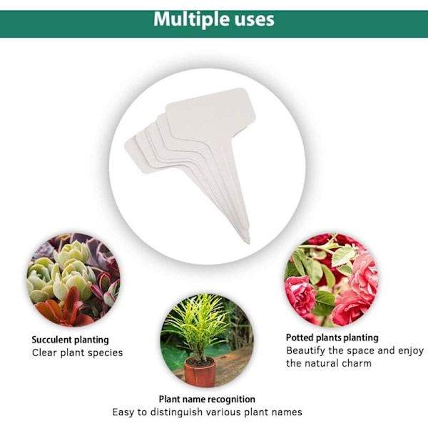 100 st mini plastpinnar för växter i form av självhäftande etiketter, markörer för etiketter, planteringsskyltar 6cm 10cm praktiska för alla trädgårdsmästare (multi