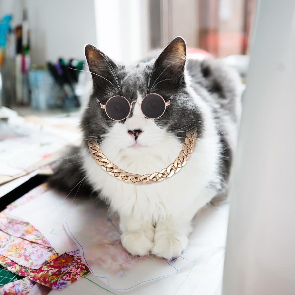 Cat Sunglasses-Retro Puppy Sunglasses Doll Round Sunglasses Party Cosplay Costume Photo Props Cute Funny Sunglasses (1 Round Glasses+1 Gold Chain)