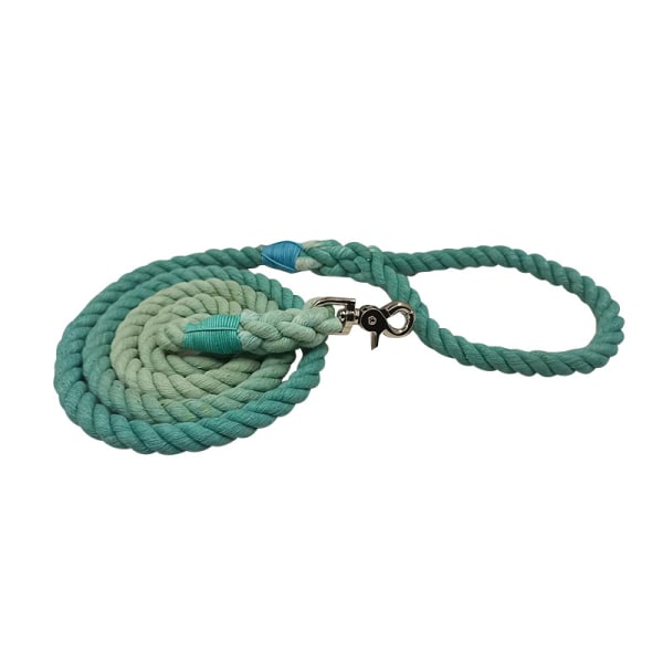 Dog leash Outdoor dog walking braided pet leash