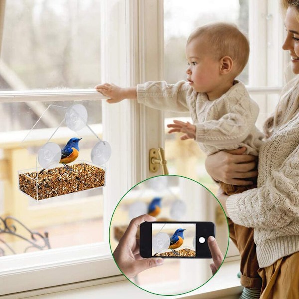 Fönsterfågelmatare för utomhusbruk med starka sugkoppar, passar för kardinaler, finkar, talgoxar etc.